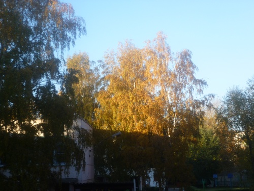 Барнаул. Осеннее утро в окрестностях гимназии №42 и детского сада №193
