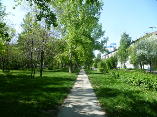 Барнаул. Малая аллея на улице Малахова