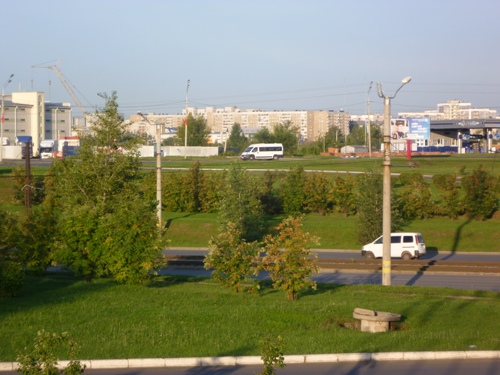 Барнаул. Яблони на участке дорожной развязки Малахова - Павловский тракт